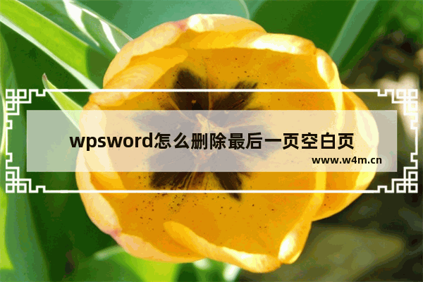 wpsword怎么删除最后一页空白页