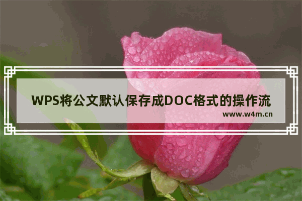 WPS将公文默认保存成DOC格式的操作流程