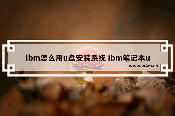 ibm怎么用u盘安装系统 ibm笔记本u盘安装系统