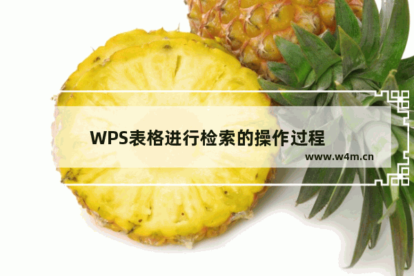 WPS表格进行检索的操作过程