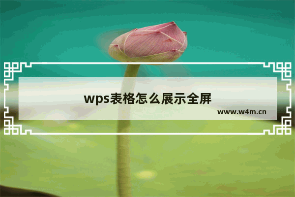 wps表格怎么展示全屏