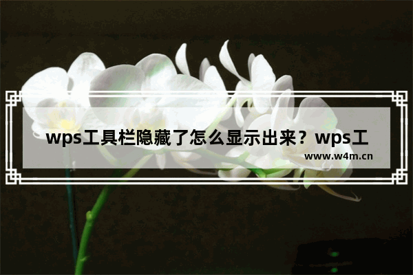 wps工具栏隐藏了怎么显示出来？wps工具栏自动隐藏恢复方法