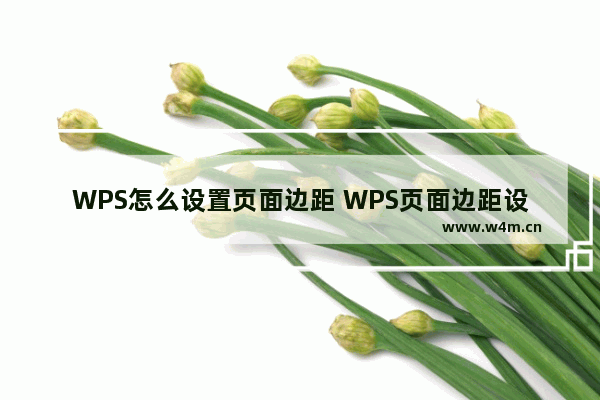 WPS怎么设置页面边距 WPS页面边距设置方法