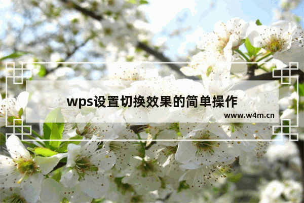 wps设置切换效果的简单操作