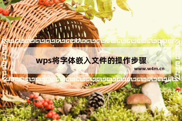 wps将字体嵌入文件的操作步骤