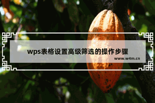 wps表格设置高级筛选的操作步骤