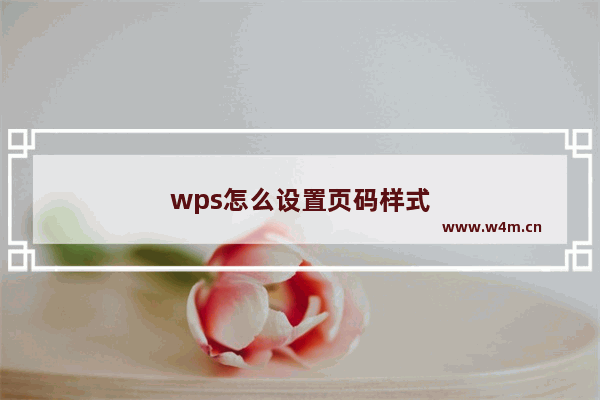 wps怎么设置页码样式