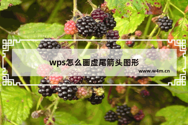 wps怎么画虚尾箭头图形