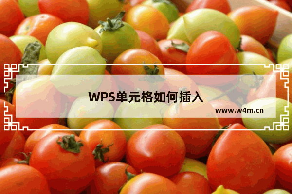 WPS单元格如何插入