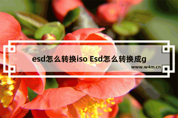 esd怎么转换iso Esd怎么转换成gho文件