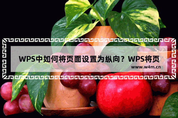 WPS中如何将页面设置为纵向？WPS将页面设置为纵向的方法