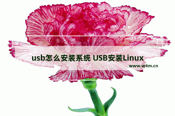 usb怎么安装系统 USB安装Linux系统