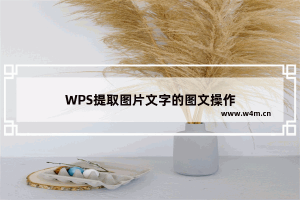 WPS提取图片文字的图文操作