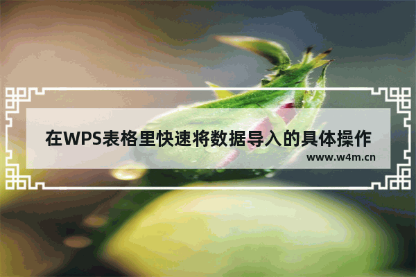 在WPS表格里快速将数据导入的具体操作