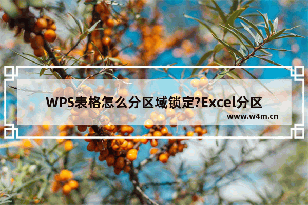 WPS表格怎么分区域锁定?Excel分区域锁定表格步骤