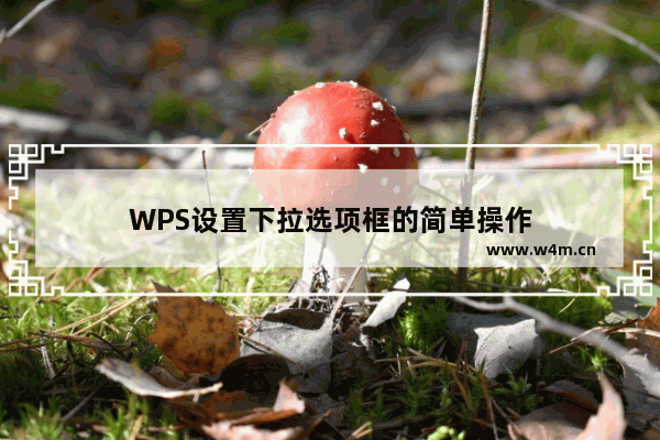 WPS设置下拉选项框的简单操作