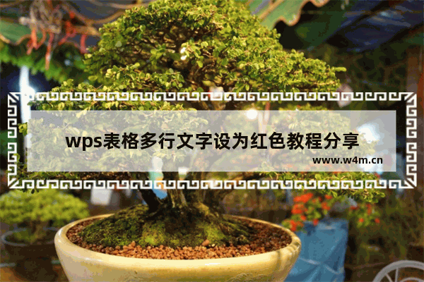 wps表格多行文字设为红色教程分享