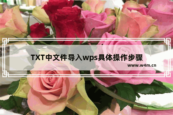 TXT中文件导入wps具体操作步骤