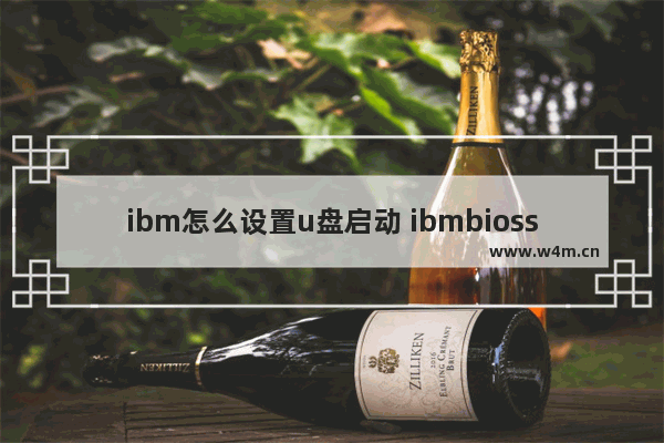 ibm怎么设置u盘启动 ibmbiossetuputility u盘启动