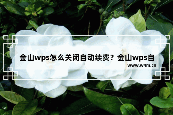 金山wps怎么关闭自动续费？金山wps自动续费关闭方法