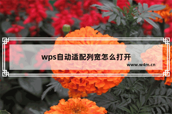 wps自动适配列宽怎么打开