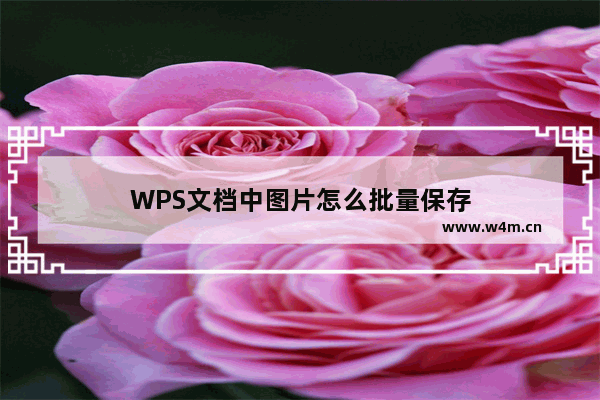 WPS文档中图片怎么批量保存