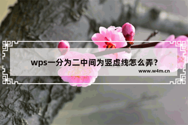 wps一分为二中间为竖虚线怎么弄？