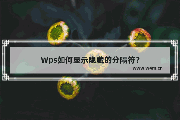 Wps如何显示隐藏的分隔符？