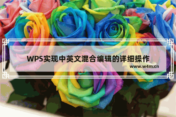 WPS实现中英文混合编辑的详细操作