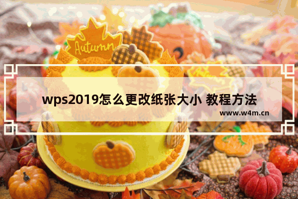 wps2019怎么更改纸张大小 教程方法介绍