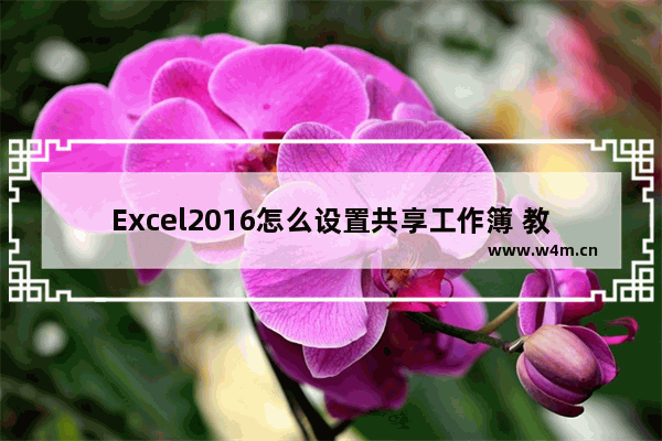 Excel2016怎么设置共享工作簿 教你快速协同操作