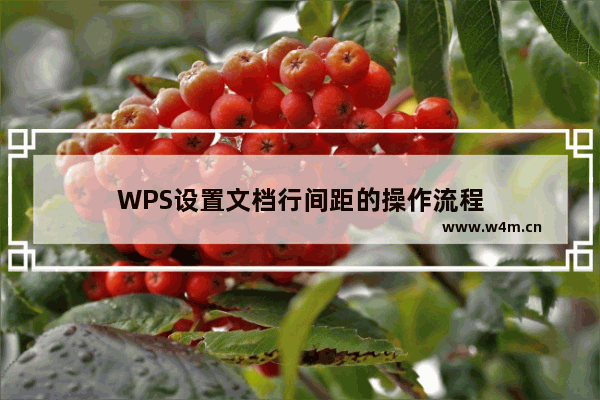 WPS设置文档行间距的操作流程