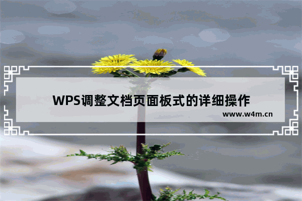 WPS调整文档页面板式的详细操作