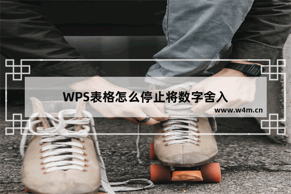 WPS表格怎么停止将数字舍入