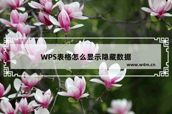 WPS表格怎么显示隐藏数据