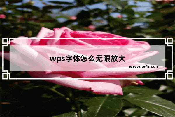 wps字体怎么无限放大