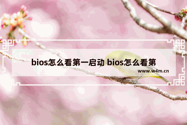 bios怎么看第一启动 bios怎么看第一启动项