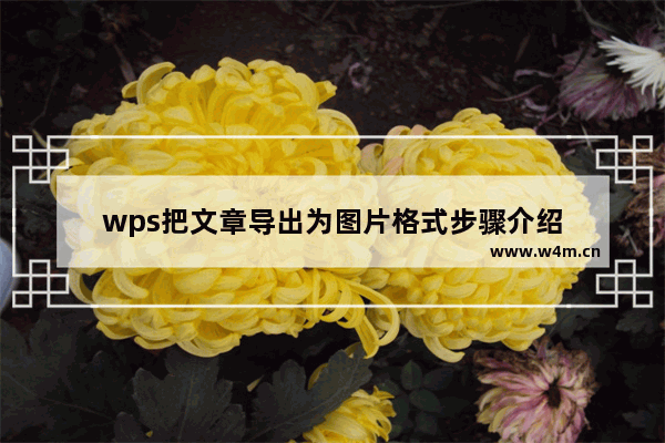 wps把文章导出为图片格式步骤介绍