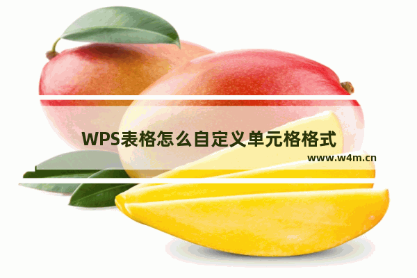 WPS表格怎么自定义单元格格式