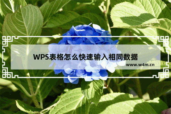 WPS表格怎么快速输入相同数据