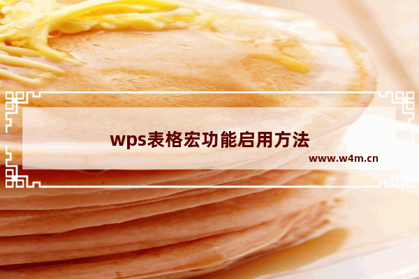 wps表格宏功能启用方法