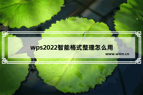 wps2022智能格式整理怎么用