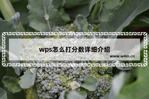 wps怎么打分数详细介绍