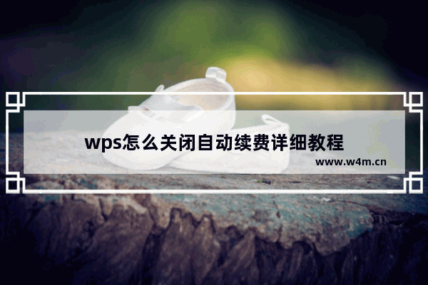 wps怎么关闭自动续费详细教程