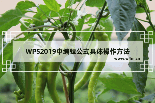 WPS2019中编辑公式具体操作方法