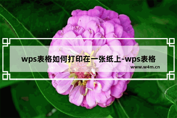 wps表格如何打印在一张纸上-wps表格取消分页的方法