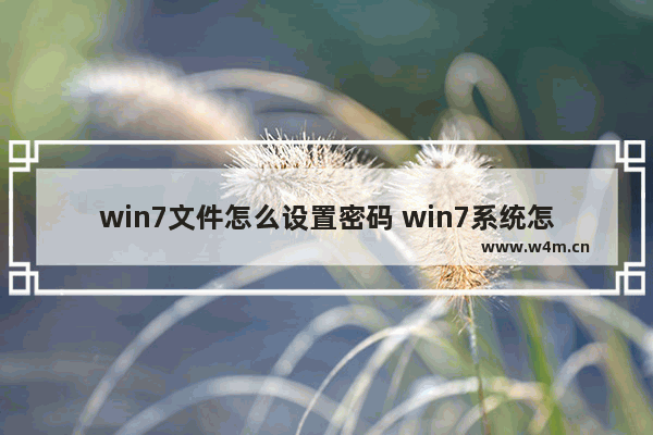 win7文件怎么设置密码 win7系统怎么设置文件夹密码