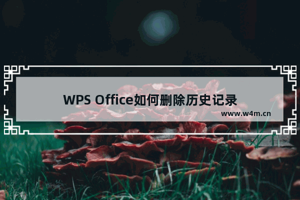 WPS Office如何删除历史记录