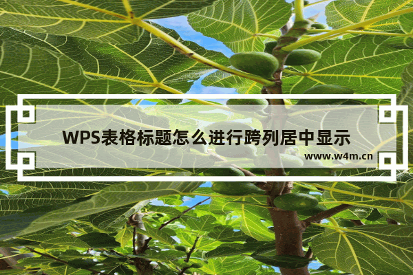 WPS表格标题怎么进行跨列居中显示