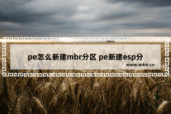 pe怎么新建mbr分区 pe新建esp分区